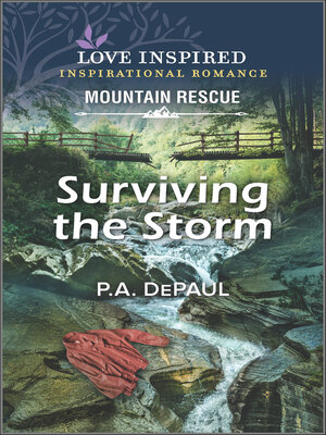 Surviving the Storm - ebook